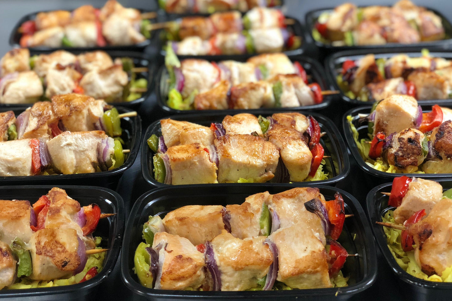 HCG Meals - Lyfestyle Catering